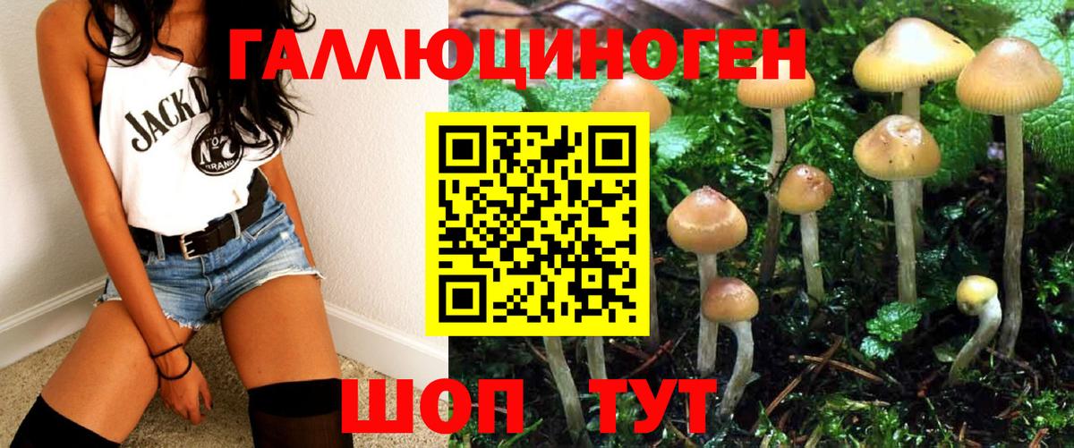 Галлюциногенные грибы GOLDEN TEACHER Кемерово